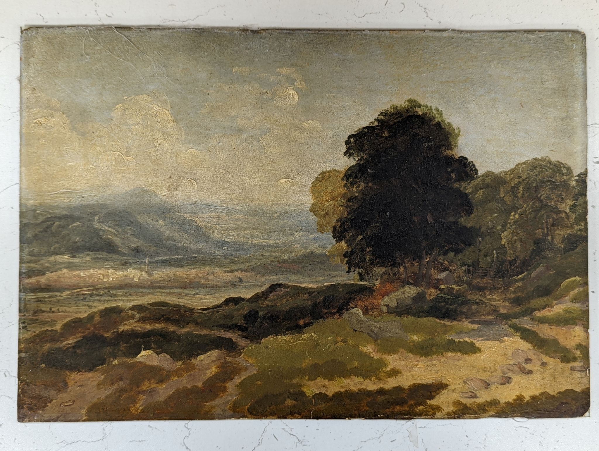 Copley Fielding (1787-1855), oil on paper laid onto glass, Trees in a landscape, inscribed and signed verso. 24.5 x 36cm, unframed